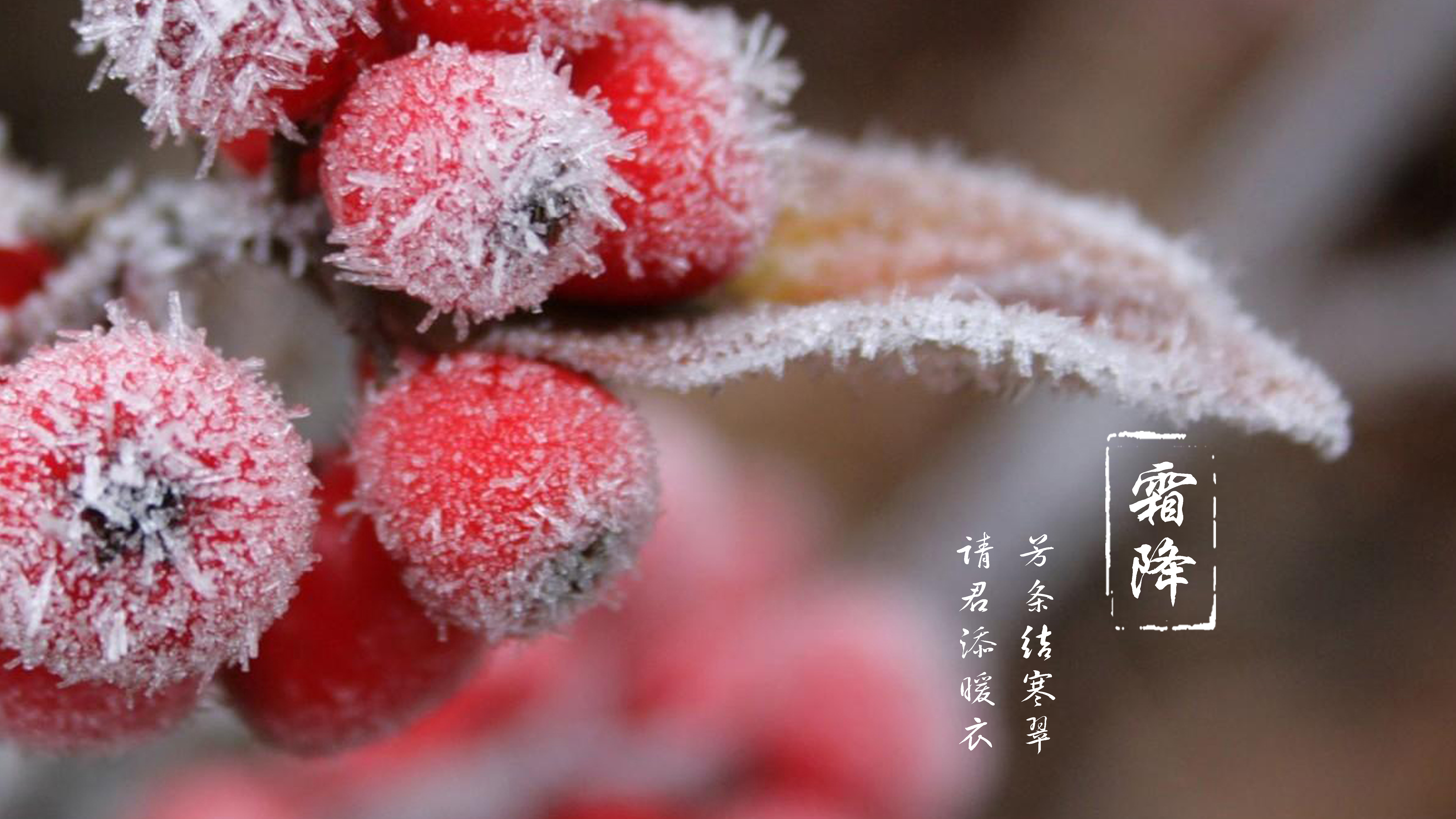 霜降 | 芳條結(jié)寒翠，請君添暖衣